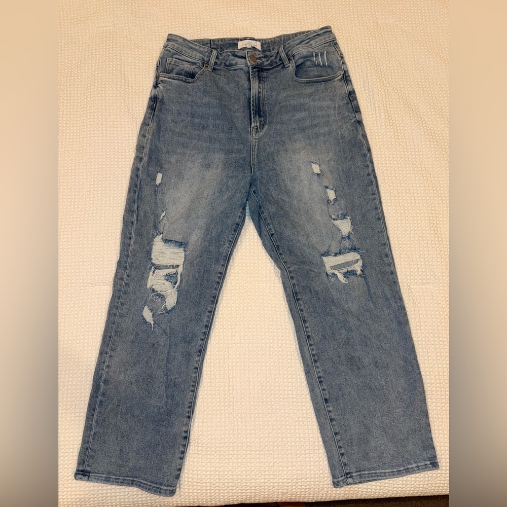 Risen Distressed Blue Jeans